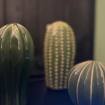 Center - ברטיסלאבה