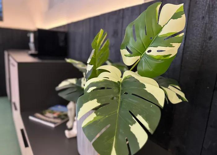 Appartement Center -